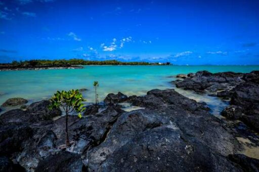 Mauritius citizenship for Indians