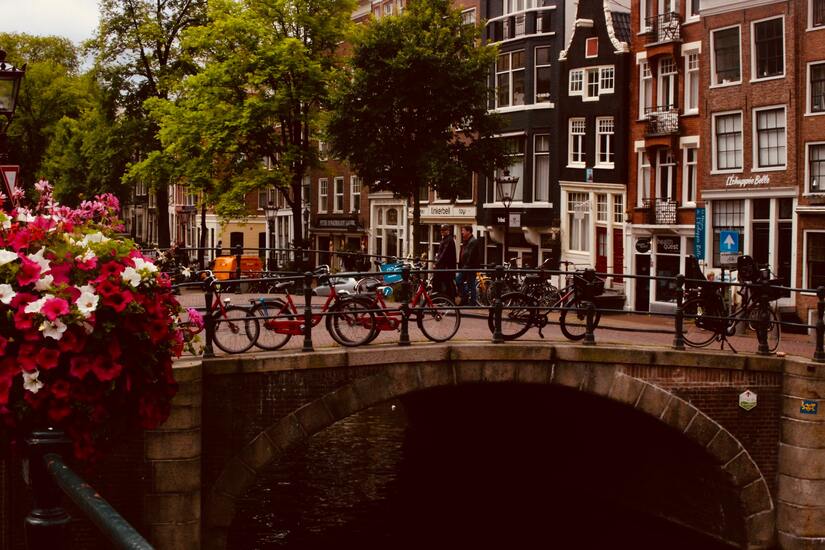 moving to amsterdam guide image pexels jack winbow