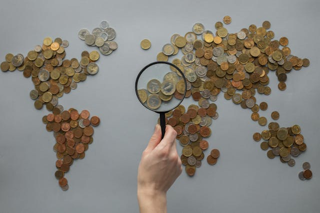 Should Expats Invest in their Home Country