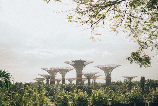 Does Singapore have inheritance tax?