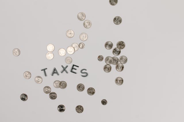 What are double taxation treaties?