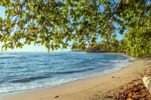 Costa Rica Pensionado Visa Guide for Expats