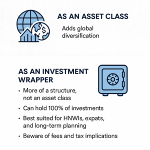 International portfolio bond investment
