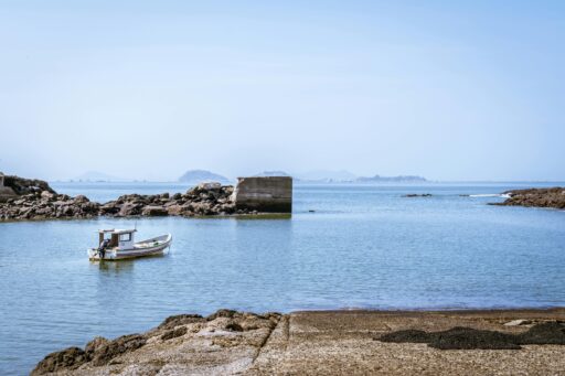 PANAMA FOUNDATION VS COOK ISLANDS TR