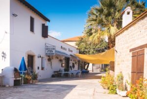 Cyprus’s non-domiciled tax regime is one of the main reasons expats relocate to the island. It allows new residents to legally shield most forms of passive income from local taxation for up to 17 years after becoming tax resident. Cyprus’s non-domiciled tax regime is one of the main reasons expats relocate to the island. It allows new residents to legally shield most forms of passive income from local taxation for up to 17 years after becoming tax resident.