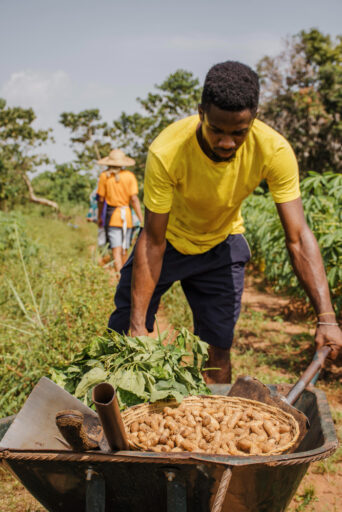 Best Investment in Uganda in 2026