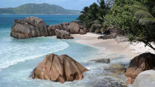 Expat Investment Advice in Seychelles